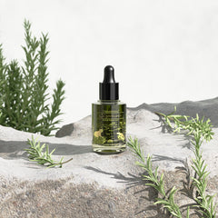 [TREEANNSEA] Signature Refresh Tamanu Oil